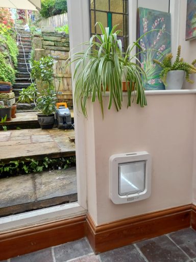 Cat flap in a wall with potted plants and a garden visible behind it.